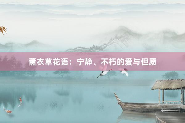 薰衣草花语：宁静、不朽的爱与但愿